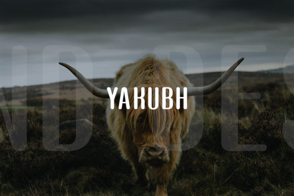 Yakubh: A Display Typeface That Feels Like Handcrafted Confidence